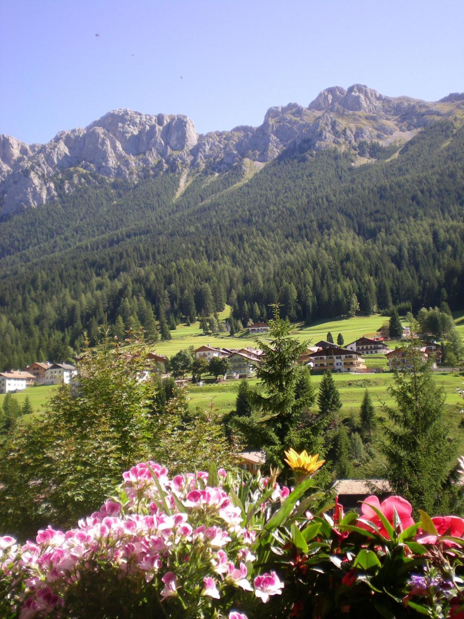 Hotel Des Alpes Сорага Екстериор снимка